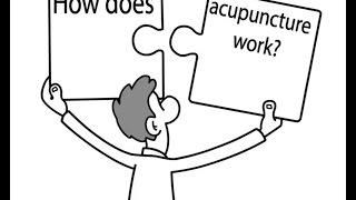 An Easy Way to Understand how Acupuncture Works to Heal the Body [upl. by Bainbrudge]