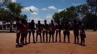 Traditional Botswana dance troupe TRAP REMIX [upl. by Eenoj]