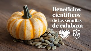 Descubre los Increíbles Beneficios Científicos de las Semillas de Calabaza [upl. by Iroc673]