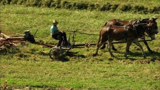 Pennsylvanias Amish Country [upl. by Noel]