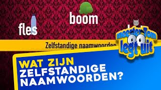 Wat zijn zelfstandige naamwoorden [upl. by Nathanael76]