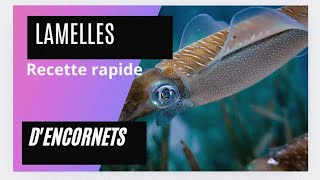 recette dencornets facile rapiderecettegastronomiefoodrecettefacilepoissonencornet [upl. by Azpurua582]