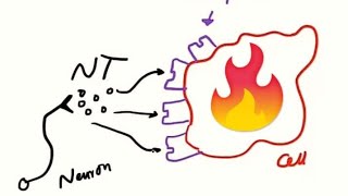 Agonist Partial Agonist Antagonist and Inverse agonist شرح مبسط [upl. by Tutto]