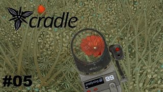 Cradle  Pflücken  Gameplay Deutsch 05 [upl. by Isabeau]