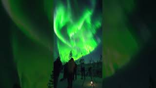 Northern Lights🎑🏆  Finland🇫🇮 northernlights finland youtubeshorts viralshorts aurora travel [upl. by Feriga]