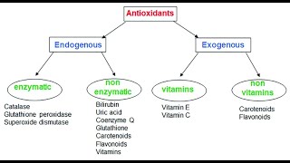 Classes of Antioxidants  Enzymatic Non enzymatic Phenolic Thiolic Carotenoids [upl. by Meekar]