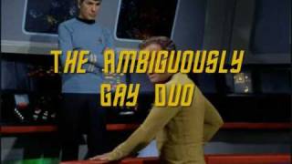 KirkSpock  The Ambiguously Gay Duo IN SPACE [upl. by Estis]