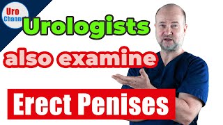 Unbelievable Urologists examine erect penises  UroChannel [upl. by Marijo470]