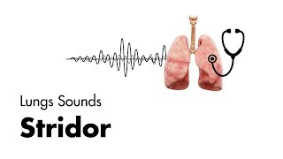 Stridor  Lung Sounds  MEDZCOOL [upl. by Aemat]