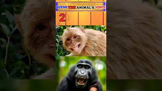 Guess the animal voice anime shortvideo viralvideo iqtrick [upl. by Agnella]