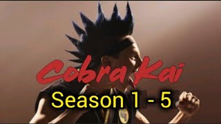 Cobra Kai all hawk fights 15 [upl. by Rodrich]