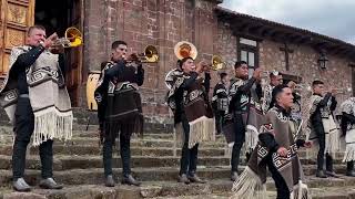 BANDA TARASQUEÑA EL MICHOACÁNO SonAbajeño  Instrumental [upl. by Nnylyt]