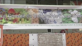 Côte divoire Vers la transformation structurelle de léconomie [upl. by Navert625]