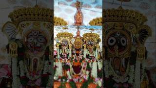 Kartika masare jagannath bhajan shorts [upl. by Eliott]