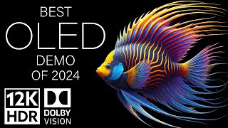 BEST OLED DEMO OF 2024  DOLBY VISION 12K HDR 120fps [upl. by Graces965]