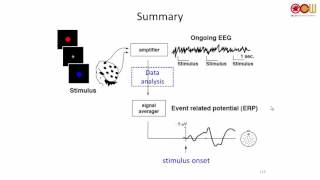 Lec 08 Chapter 3 The Electrophysiological Brain 腦神經電生理 44 [upl. by Baggett]