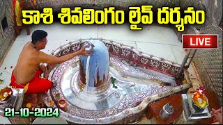 కార్తిక మాసం స్పెషల్ కాశి నుంచి లైవ్ దర్సనం  kasi Live Darshan  Monday Special Kasi Live Darshan [upl. by Ritchie890]