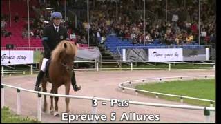 Compétition quot5 Alluresquot  Equitation Islandaise [upl. by Onirefez]