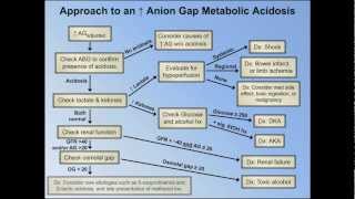 Elevated Anion Gap Metabolic Acidoses  Abridged Understanding ABGs  Lecture 8 [upl. by Eniamrej97]