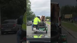 250Pound Bear Rides Through Russian Streets in a Motorcycle Sidecar—Only in Russia [upl. by Ecirahc]