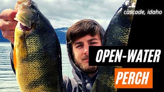 How to Catch Giant Perch open water Lake Cascade perch fishing Trolling Rapalas [upl. by Vittorio561]