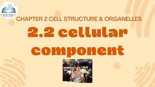 STPM BIOLOGY SEM 1 CHAPTER 2  ORGANELLES  CELL COMPONENT  NUCLEUS STRUCTURE amp FUNCTION [upl. by Avot]