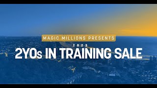 Magic Millions 2YOs in Training Sale  TVC [upl. by Ahsaz394]