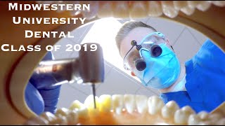 Midwestern University Dental Class of 2019 [upl. by Etnahc260]