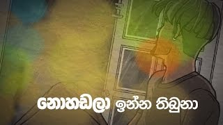 Nohadala Inna Hashan Balasuriya Ft Sai Animated Lyric Video [upl. by Cary77]