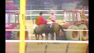 1981 Belmont Stakes  Summing  CBS Broadcast [upl. by Clement]