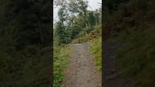 GWYDIR FOREST  PROBABLY THE BEST DESCENT [upl. by Irret]