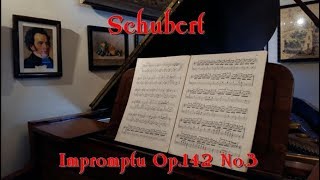 Schubert  Impromptu in B flat major Op142 No3 [upl. by Yacano117]