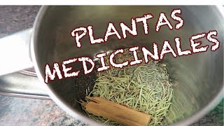 Plantas medicinales para resfriado dolor de garganta y catarro REMEDIO CASERO [upl. by Davilman595]