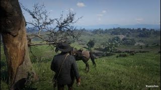 Grave Visit  Larned Sod  RDR2 [upl. by Sale317]