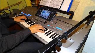 Patrick Bruel  Casser la voix Instrumental  Tyros 4 [upl. by Hardie]