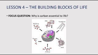 The Building Blocks of Life [upl. by Dow]