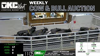 992024  OKC West Weekly Cow amp Bull Auction [upl. by Deeyn872]