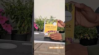 Unboxing bio pesticides ⚡️triple attack ✨️biopesticides biopesticide meaning [upl. by Zilla]