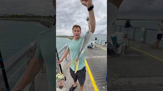 fishing bait shark badfish fish baitandwait ocean bigbaits tuna catchandrelease [upl. by Assilrac]