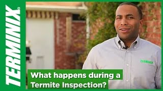 Protect Home From Termites  Termite Inspection Facts  Terminix [upl. by Ahseekal653]