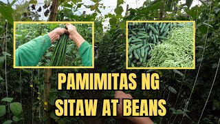 PAMIMITAS NG STIAW AT BEANS [upl. by Yendor]