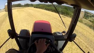 Gerstenstoppel mulchen mit Zetor Proxima [upl. by Cirdek891]