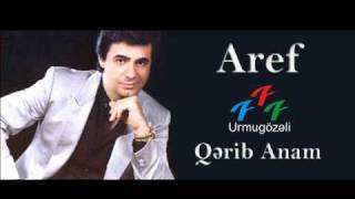 Aref  Tebrizim [upl. by Nemrac]