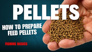 How to prepare pellets for the Method Feeder  Fishing Basics [upl. by Oregolac]