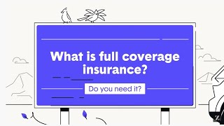 Ask The Zebra Anything  What is full coverage insurance [upl. by Mia22]