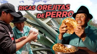 RICAS OREJAS DE PERRO Hecho a leña  Doña Empera [upl. by Eatnuahs]