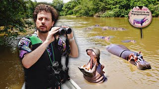 Buscando la plaga de hipopótamos de Escobar en Colombia  ¿Es real ⚠️🦛🇨🇴 [upl. by Capps12]