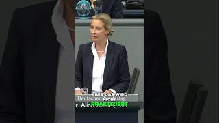 Alice Weidel Zurück zur EU  Nationalstaaten im Fokus der Demokratie [upl. by Mandle]