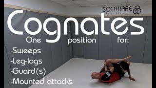 Cognates A single position for sweeps leglocks guards and mounted attacks in JiuJitsu [upl. by Bouzoun]