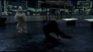 Karate Dog klip 5  Karate Dog vs Jon Voight [upl. by Greyso]